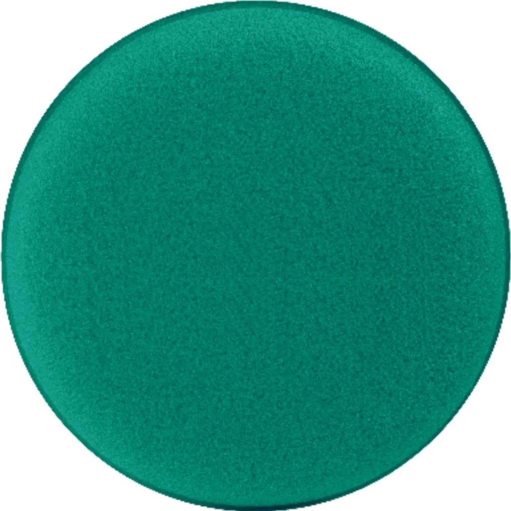 ESPUMA APLICADORA DE PRODUTOS PREMIUM 110MM - JS