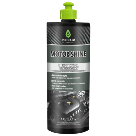 VERNIZ DE MOTOR, CHASSIS E CAIXA DE RODAS MOTOR SHINE - 1.5L - PROTELIM